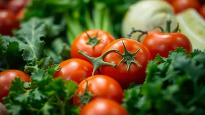 Frisches Gemüse und Obst, Rückverfolgbarkeit, Lebensmittelsicherheit